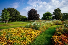Bluhstreifen-im-egapark-BUGA-Erfurt-2021-gGmbHx1200
