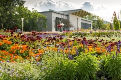 Groses-Blumenbeet_egapark-Halle-1-ega-gGmbH-S.-Nuernbergerx1200