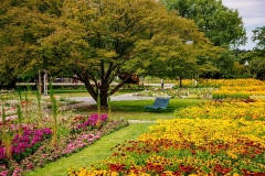 Verweilen-im-Blumenmeer-im-egapark-BUGA-Erfurt-2021gGmbHx1200