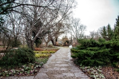 Potsdam_Insel_HBke_Heide_29.01.2021_JHGx1200