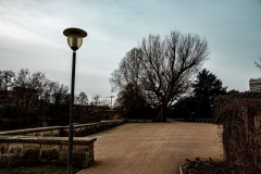 Potsdam_Insel_SilWei_Schanze_29.01-1x1200