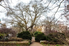 Potsdam_Insel_SteinG_JapS_29.01.2021_JHG-2x1200