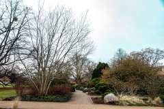 Potsdam_Insel_VStaudenv_Grtz_29.01.2021_JHGx1200