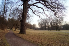 Goethe_Gartenhaus_Ilmpark_Weimar_JHG-5-2_1200