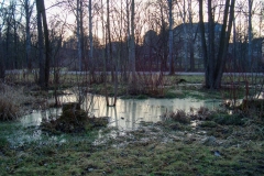 Leutraquelle_Ilmpark_Weimar-5-2_1200